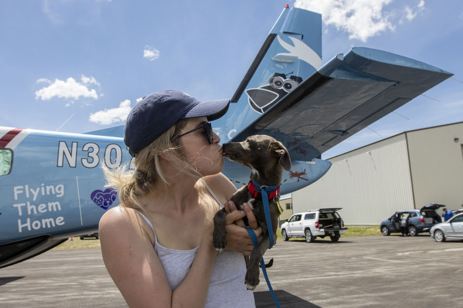 My Dog is my Co Pilot, dogs arrive in Driggs